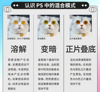 PS软件操作技巧-如何快速掌握PS里各个图层里的混合模式用途?